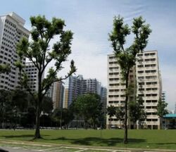 Blk 151 Petir Road (Bukit Panjang), HDB Executive #617703581